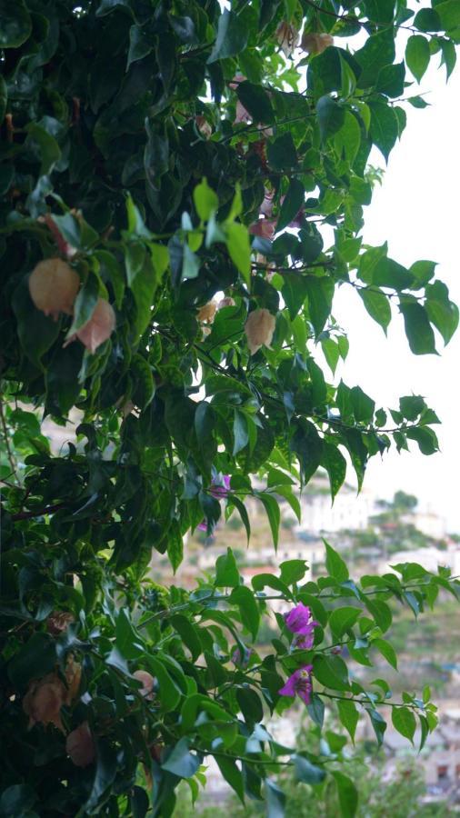 Mariuccia House Villa Amalfi Luaran gambar